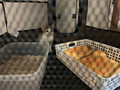 6D3FFE58-4405-4767-A6EB-1914C8BDF4CC