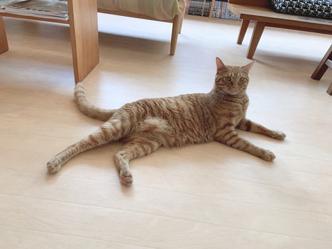 924EB99B-4DAA-42AB-88D6-EE00A01CF18A