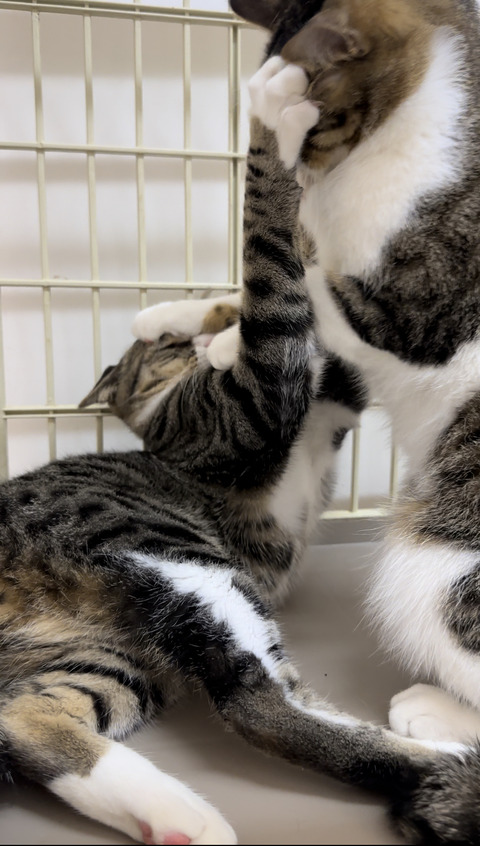 05F5477F-F75F-4F98-8D83-B314760D0C46