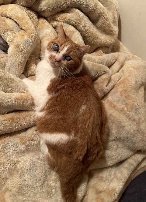 34F56C85-06DC-466C-981A-D0299116A4D4