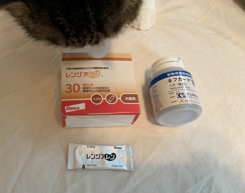 E9A830AD-1C60-4E56-954D-2C03A56C02FE