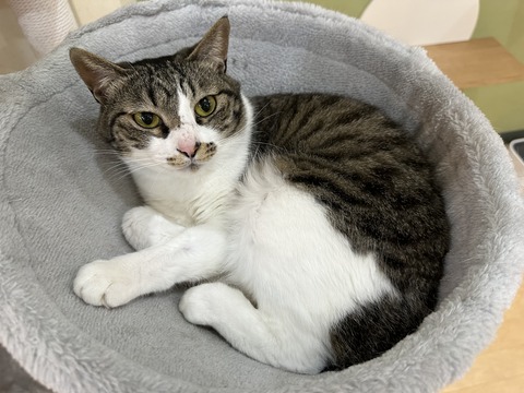 8FB31B00-25AF-42D0-8477-1C3A9DF79063