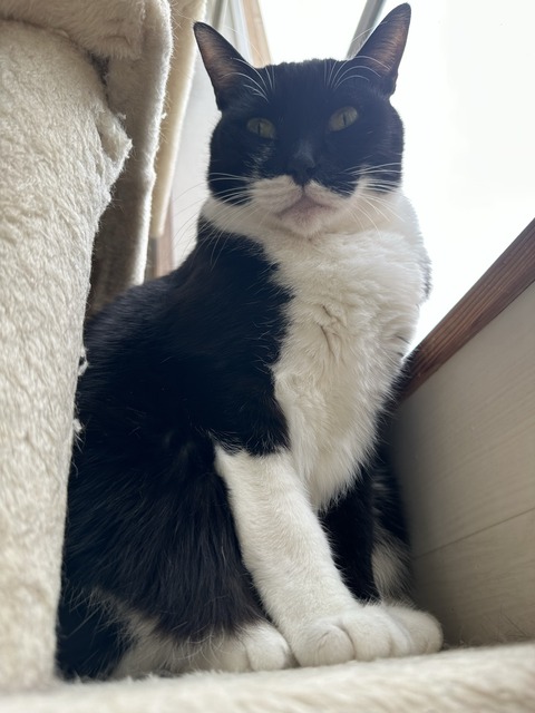 8E928862-87A9-46EB-B286-5E2E1C97D5A6