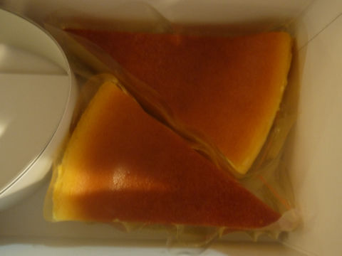 猫式ブログ～里親募集型猫カフェ