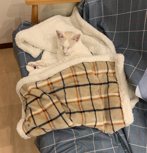 51F03FA1-3C63-446E-B49A-BAAFD62140C4