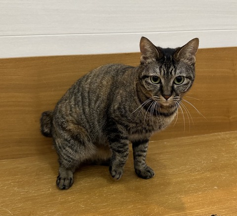 259E515E-B3B0-4888-94C1-75BAC07F145F