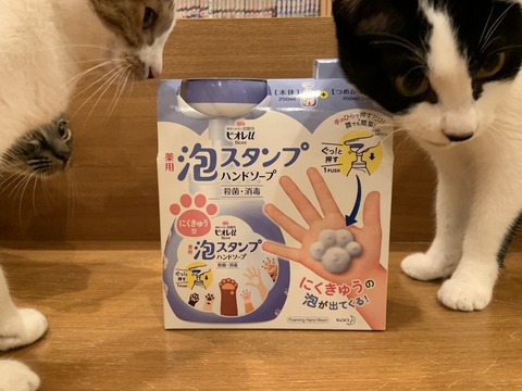 D1292283-3F8B-4083-BA74-385752D6C524