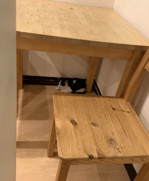 96A8A99B-7528-4DD8-82CE-1A36322937E7