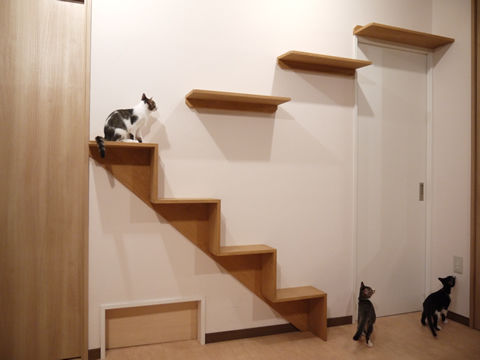 猫式ブログ~里親募集型猫カフェ