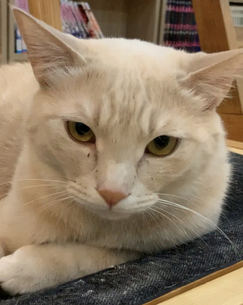 7DDE5FDE-A6FA-47E7-A531-8C50A7F1388E