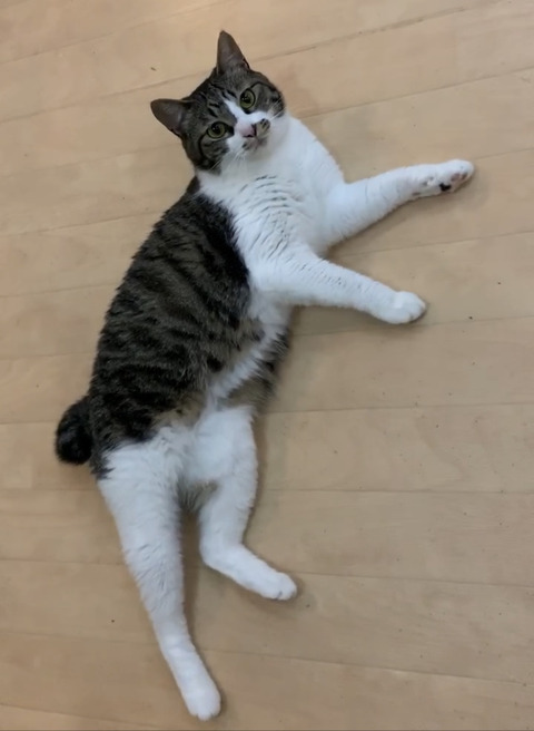 5A10D3CC-37C8-4C55-8DDF-B3348E79B35F