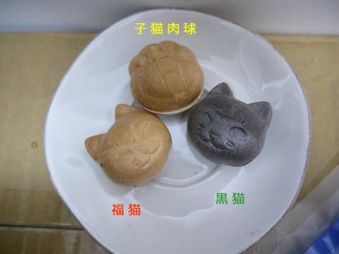 猫式ブログ~里親募集型猫カフェ
