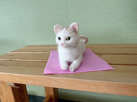 8C4EE116-2A1E-42F7-96F6-BE33AC46D699