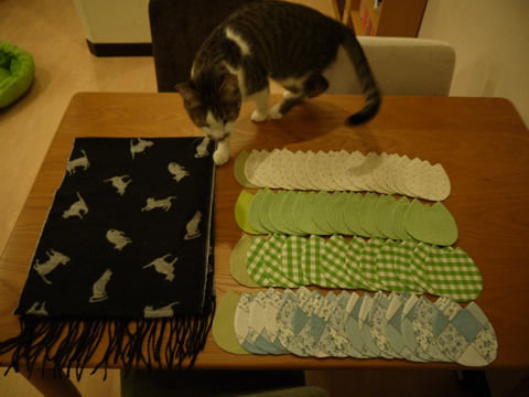 猫式ブログ~里親募集型猫カフェ