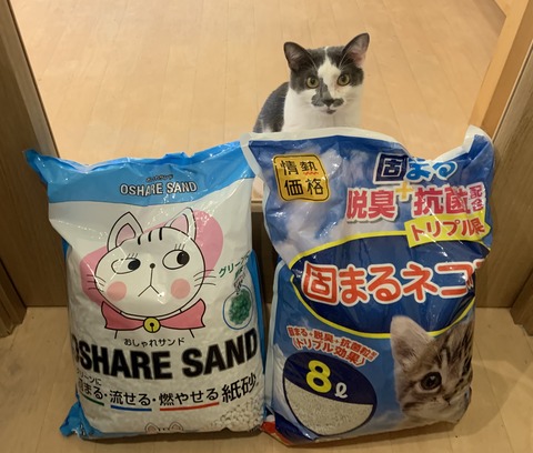 94C79004-2520-4D26-9773-6854A06EA78D