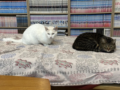 123CD3C0-BC9C-495F-8927-2BF8D24DBBD9