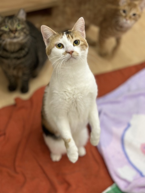 1B2A8D47-3700-4D22-A15F-D651DD58B994