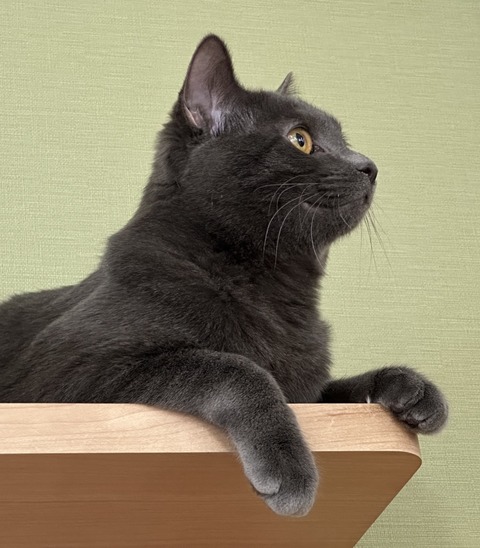 7B172E5E-A026-467F-B059-37FA63A2ADCE