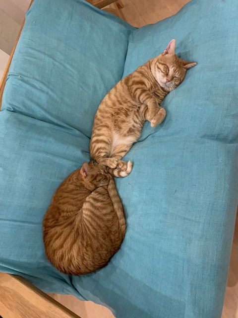 98531548-A772-49B2-BC18-C7CB72FFE6FF