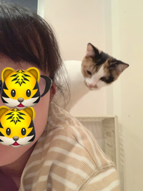 EE0A246D-2A3D-4CAE-9DA0-7A280E051D55