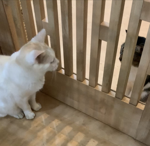 1052E343-C811-4108-9D6D-70D9D12A7C3B