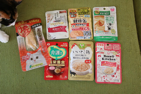 0822_水曜日の猫さん