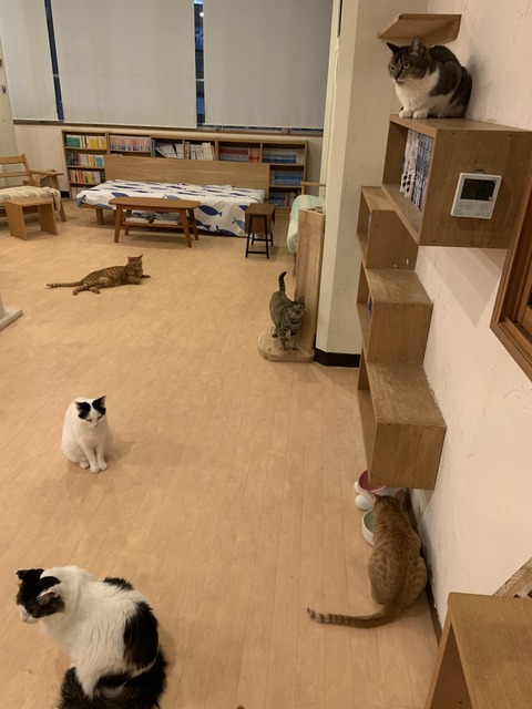 54338543-47DF-4F02-AF80-1EDCF66B8138