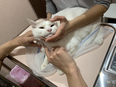 99ADBB43-115C-46E2-9FE9-A685F53F6EA5