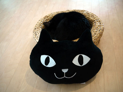 猫式ブログ～里親募集型猫カフェ