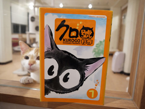 猫式ブログ~里親募集型猫カフェ