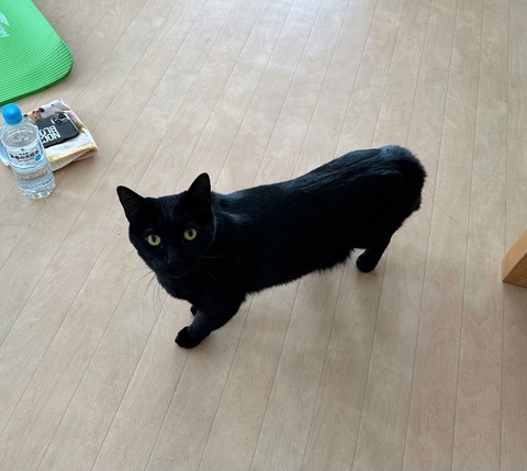 62D5EA32-A1D9-4272-9A69-AEA937F98E75