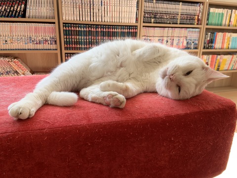 634C0453-D5F3-4F02-83CC-29AD388DEA55