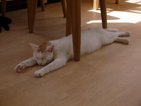 P1040507_2