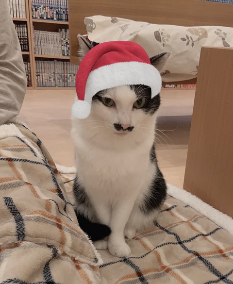 3A46093F-9DD1-4FD4-91B4-540DB7008F1F