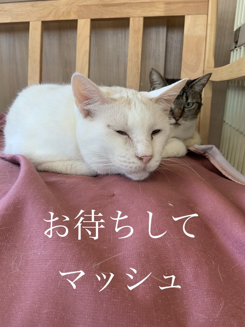 76CC2CDF-7BFD-47F9-B464-49A1245E8F16