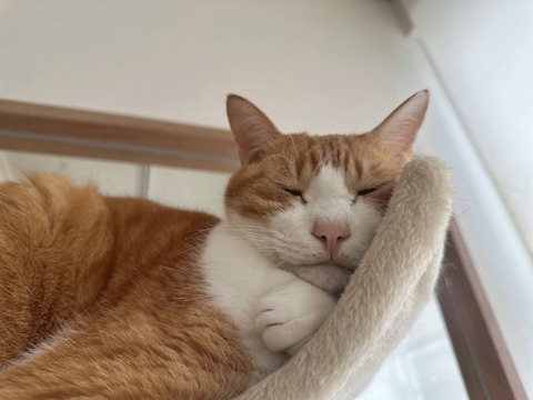 908D2CBC-2FE5-4D5C-A1CA-D3E1A315B850