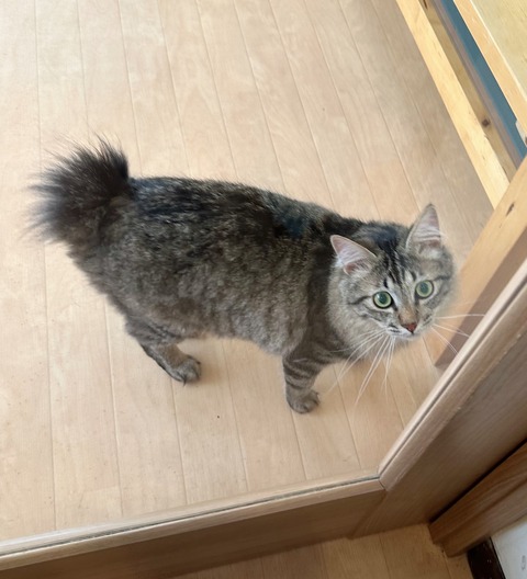 CE6FFC18-9E78-49B6-93DC-AEF10D543F80