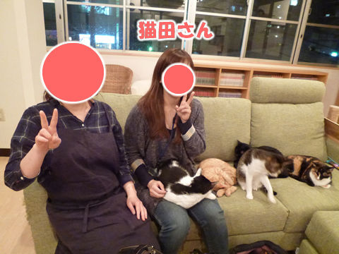 猫式ブログ