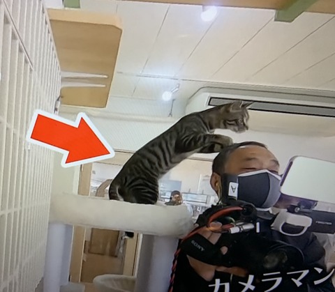 10A27F2A-A868-4A2D-94B3-3633CF8D60E1