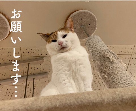 F6F38CAC-7335-4537-9D32-0C0659127213