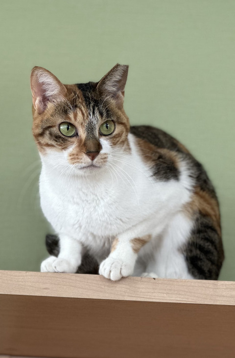 03D40B30-9CD2-4914-A77F-AA1D38B1A212