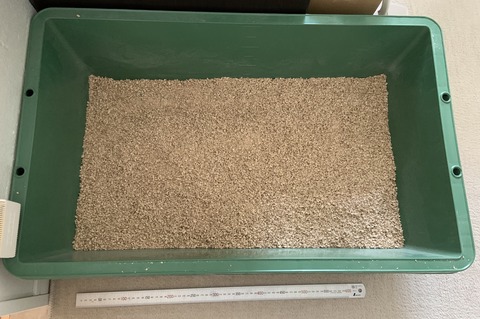 68235FF1-14A1-4C8A-B629-61AD50A0F428