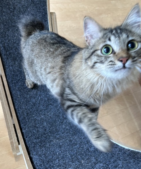 7184EFDF-8D48-4F4B-8D97-65BE73C4785D