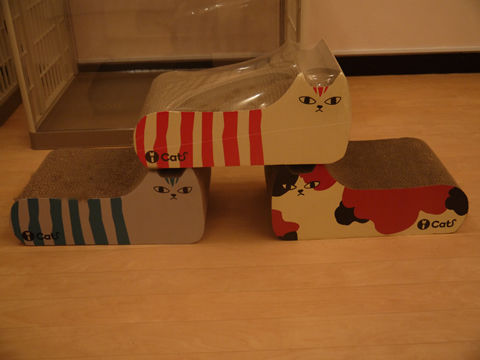 猫式ブログ~里親募集型猫カフェ