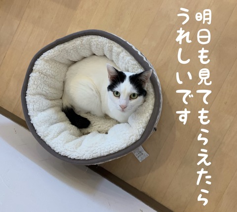 48BCACC9-1E1C-484D-A901-528A14FC1CDE