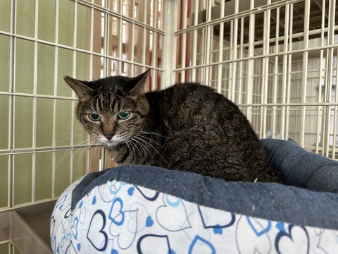 44B9DFCA-2147-4494-8798-91AC2BDADEA4