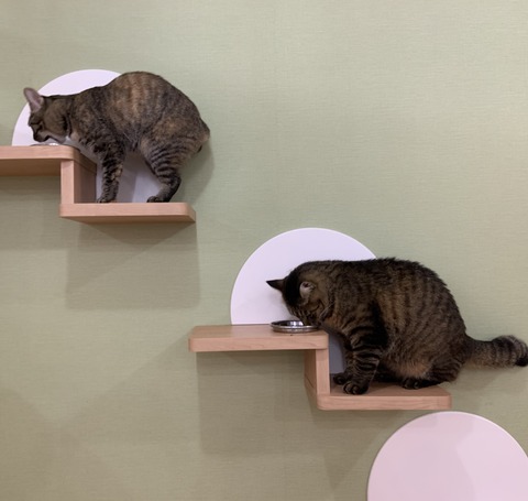 CCC980DF-17A9-40D9-9963-32592B02D237