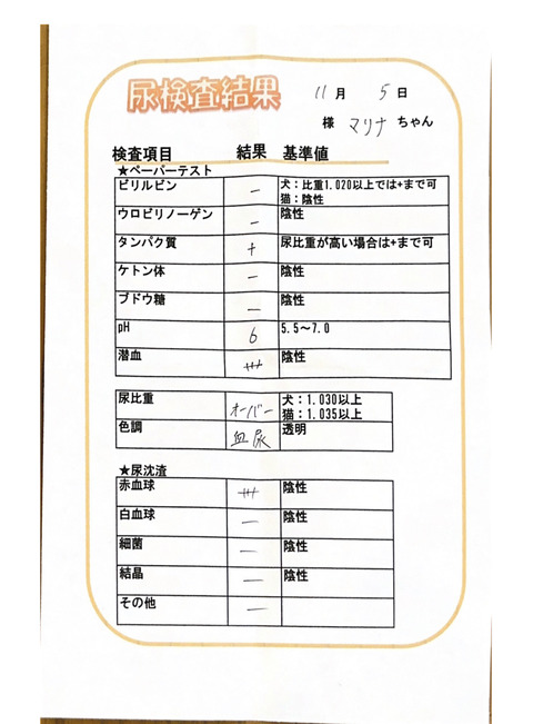 F79E691A-1B8B-4787-9FBC-4948CAFFCD8E