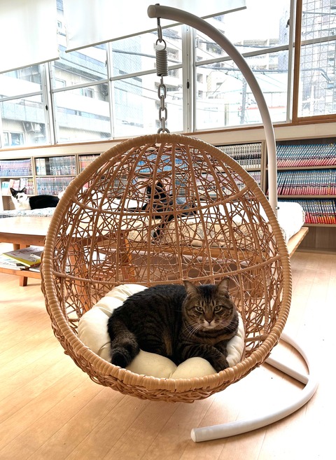 0CFBB7F3-9044-4EBC-A188-C3C7951D32F3