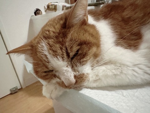 0C2E3347-9877-41B4-86B5-7BEF2B6CE1E9